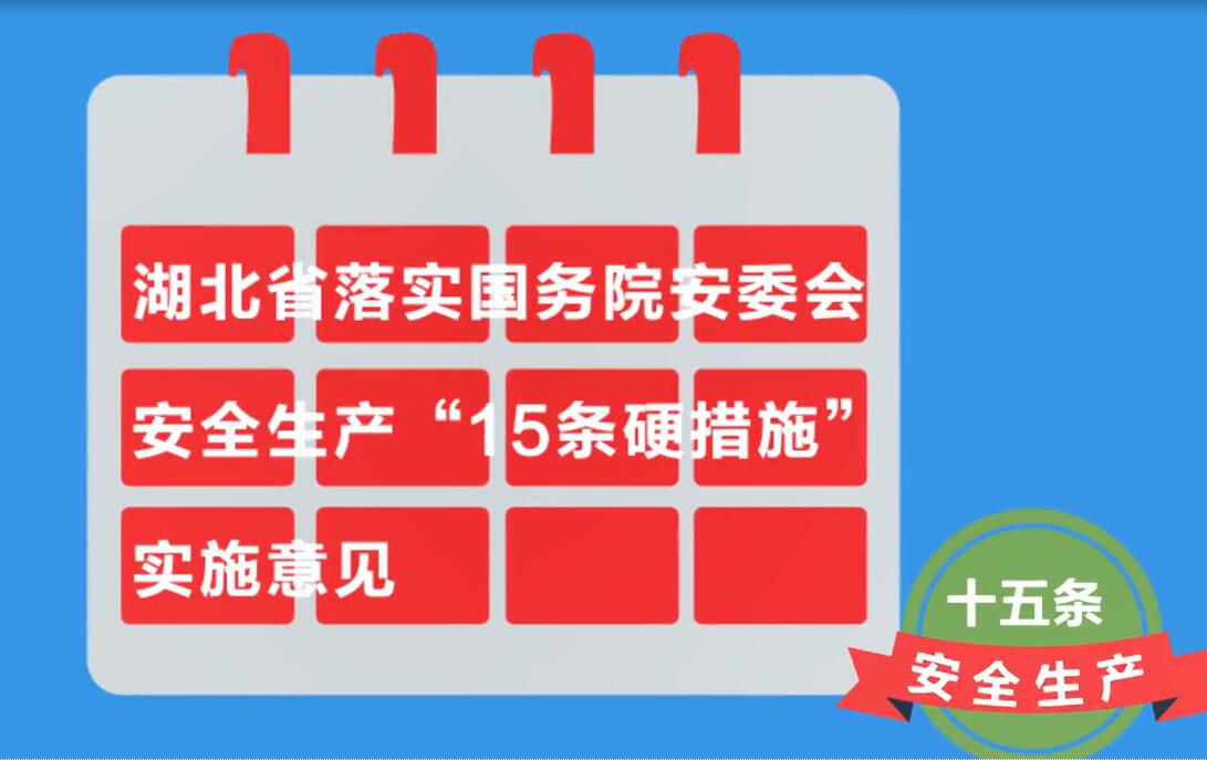 【动漫解读】湖北省落实国务院安委会安全生产“15条硬措施”实施意见